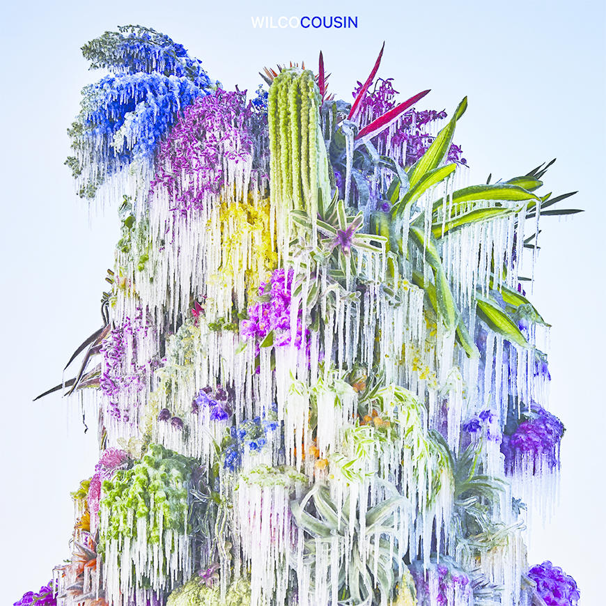 A Wilco Cousin album borítója. Egy színes növény jégcsapokkal, fehér háttérrel és kék címmel.