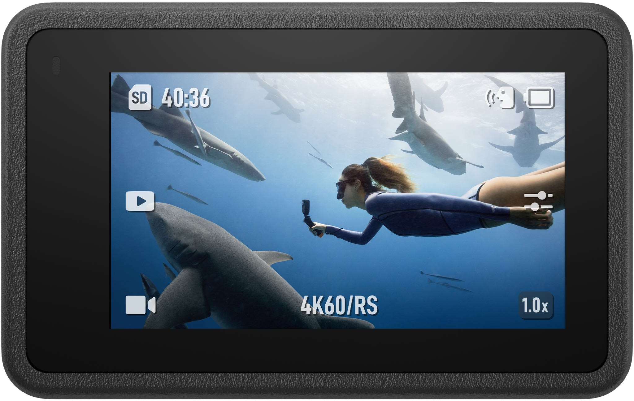 Action-Kamera, die eine Frau unter Wasser zeigt, umgeben von Haien. Zeigt '4K60/RS' und '1.0x'.