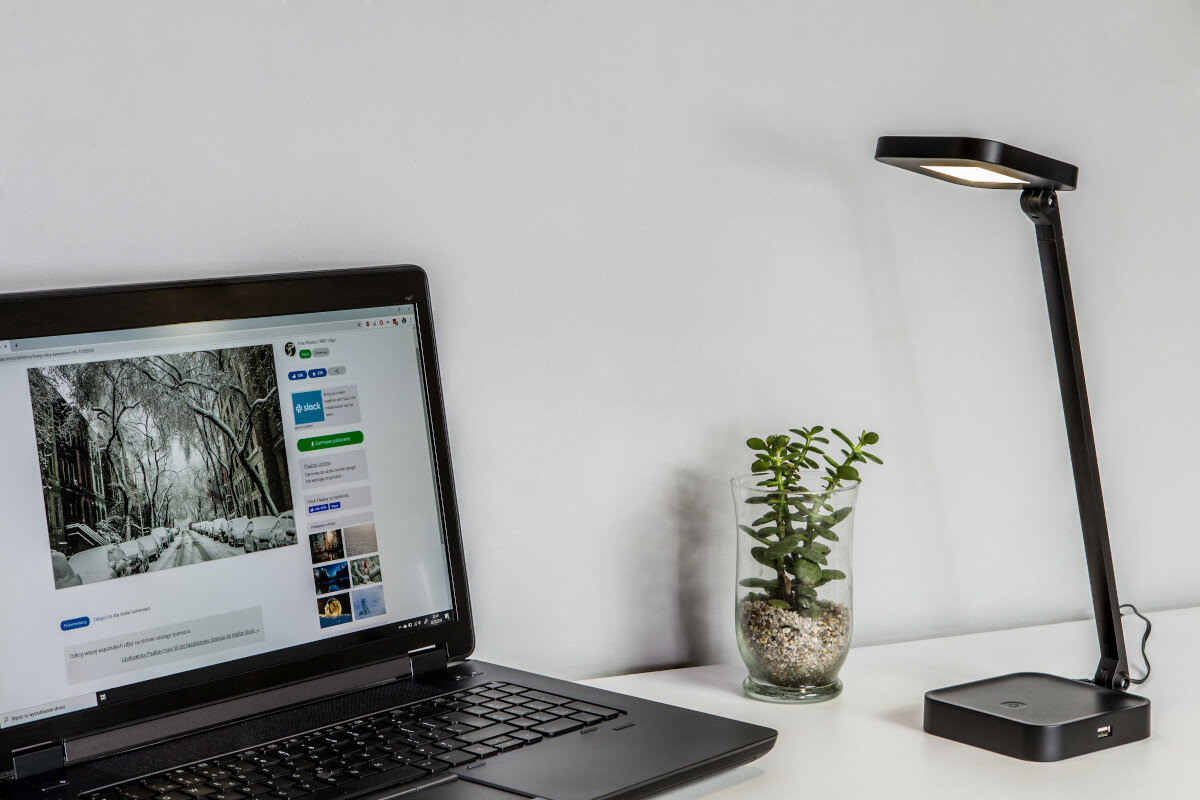 Laptop, lampa biurkowa i mała roślina na białym biurku na tle białej ściany. 