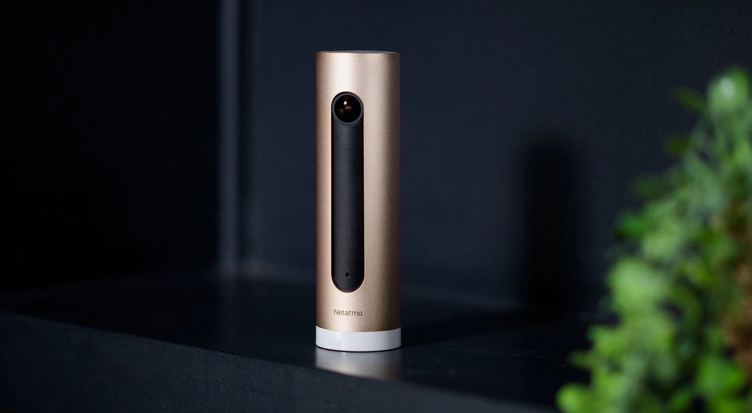 Złota kamera smart home na ciemnej półce z zieloną rośliną.