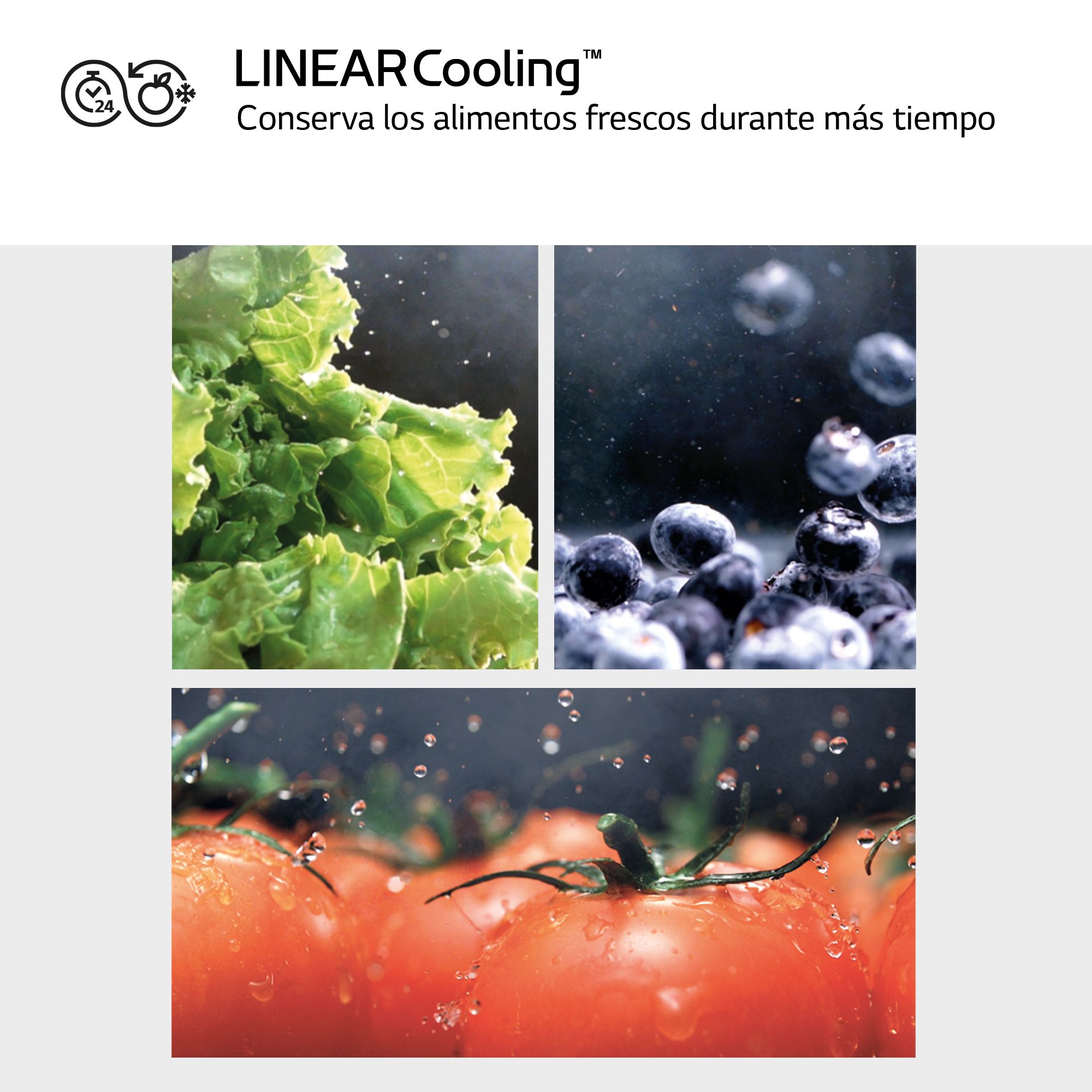 Primer plano de productos frescos: lechuga, arándanos y tomates. Gotas de agua visibles.