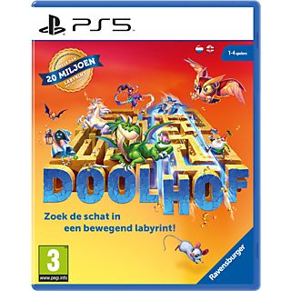 Doolhof NL PS5