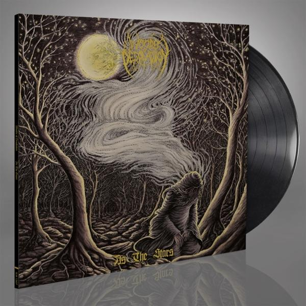 Woods Of THE Desolation (Vinyl) AS - STARS 