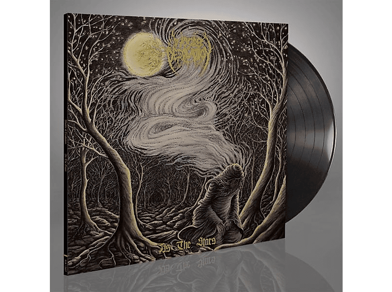Woods Of Desolation - AS THE STARS  - (Vinyl)