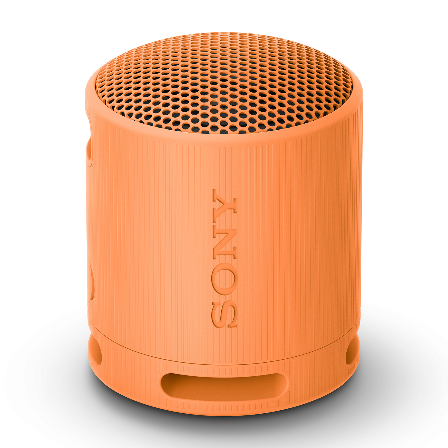 Cassa Bluetooth Sony Srsxb100D