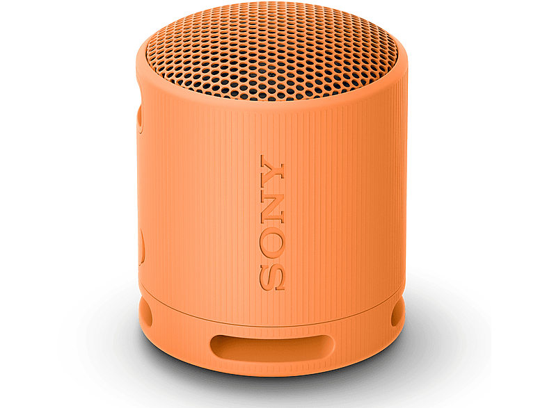 CASSA BLUETOOTH SONY SRSXB100D