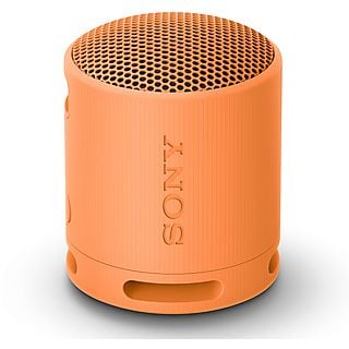 CASSA BLUETOOTH SONY SRSXB100D