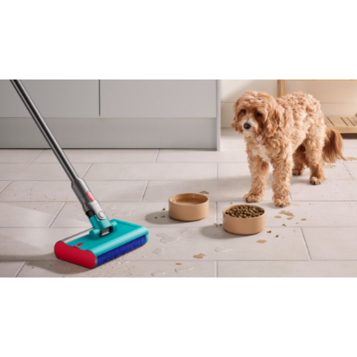 A fluffy dog stands near food bowls, with a vacuum cleaner nearby.