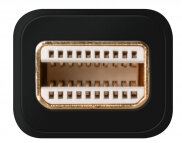 Zbliżenie czarnego złącza DisplayPort, pokazujące piny. Krawędzie są zaokrąglone.