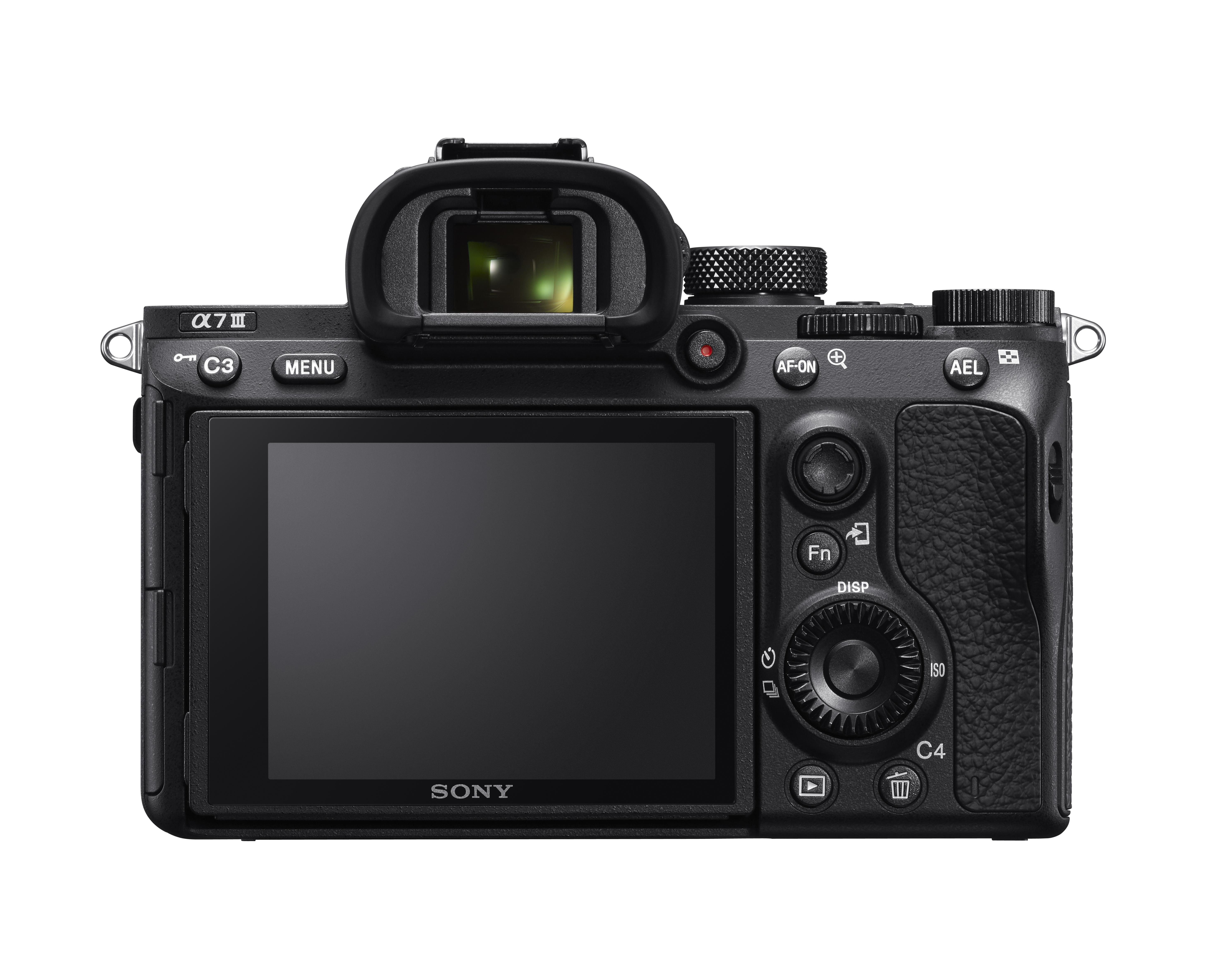 Rückansicht einer schwarzen Sony-Kamera mit Bildschirm, Knöpfen und Rädern.