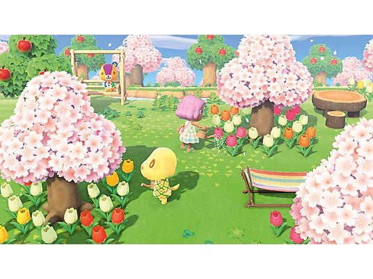 Animal Crossing: New Horizons FR Switch