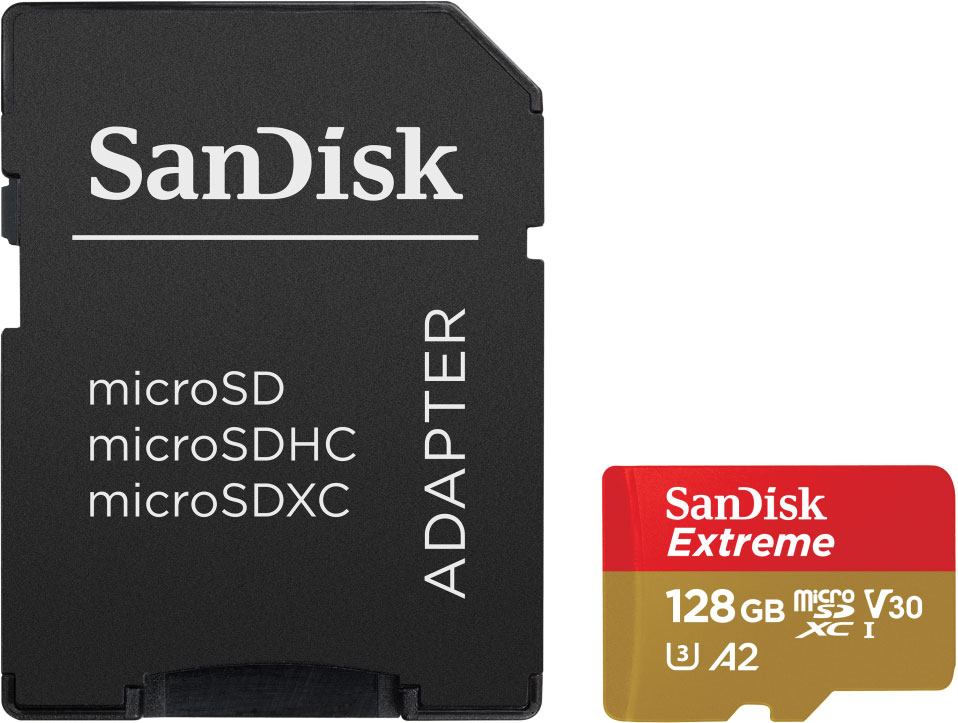 A black SD card adapter and a red and gold microSD card. SanDisk is branded on both.