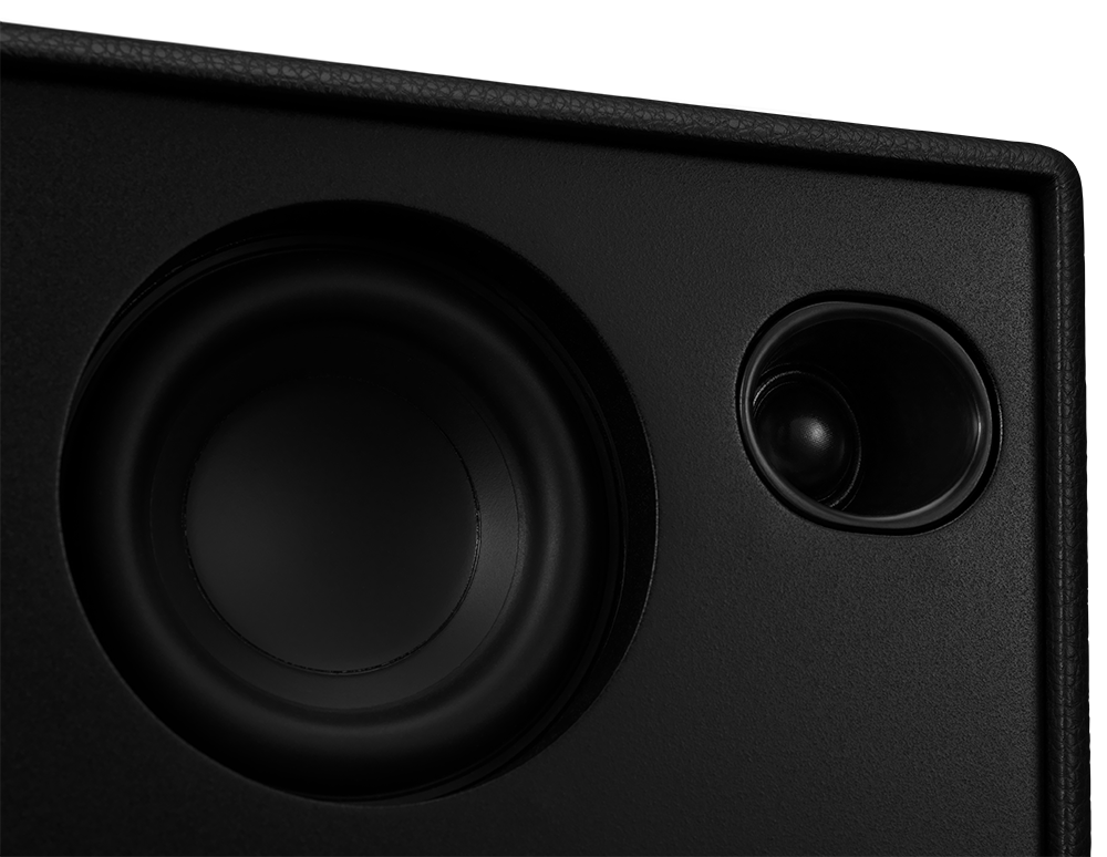 Close-up of a black speaker. Large woofer and smaller tweeter in a textured enclosure.