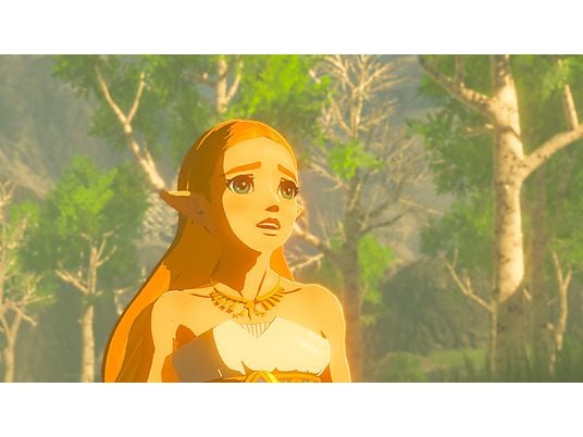 The Legend of Zelda: Breath of the Wild NL Switch