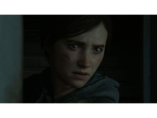 Gra PS4 The Last of Us Part II Edycja Kolekcjonerska