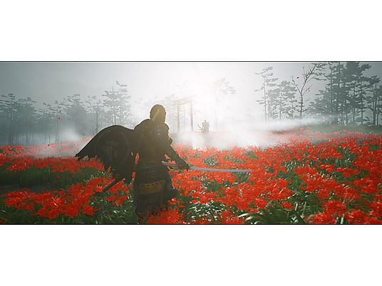 Gra PS4 Ghost of Tsushima Edycja Standardowa