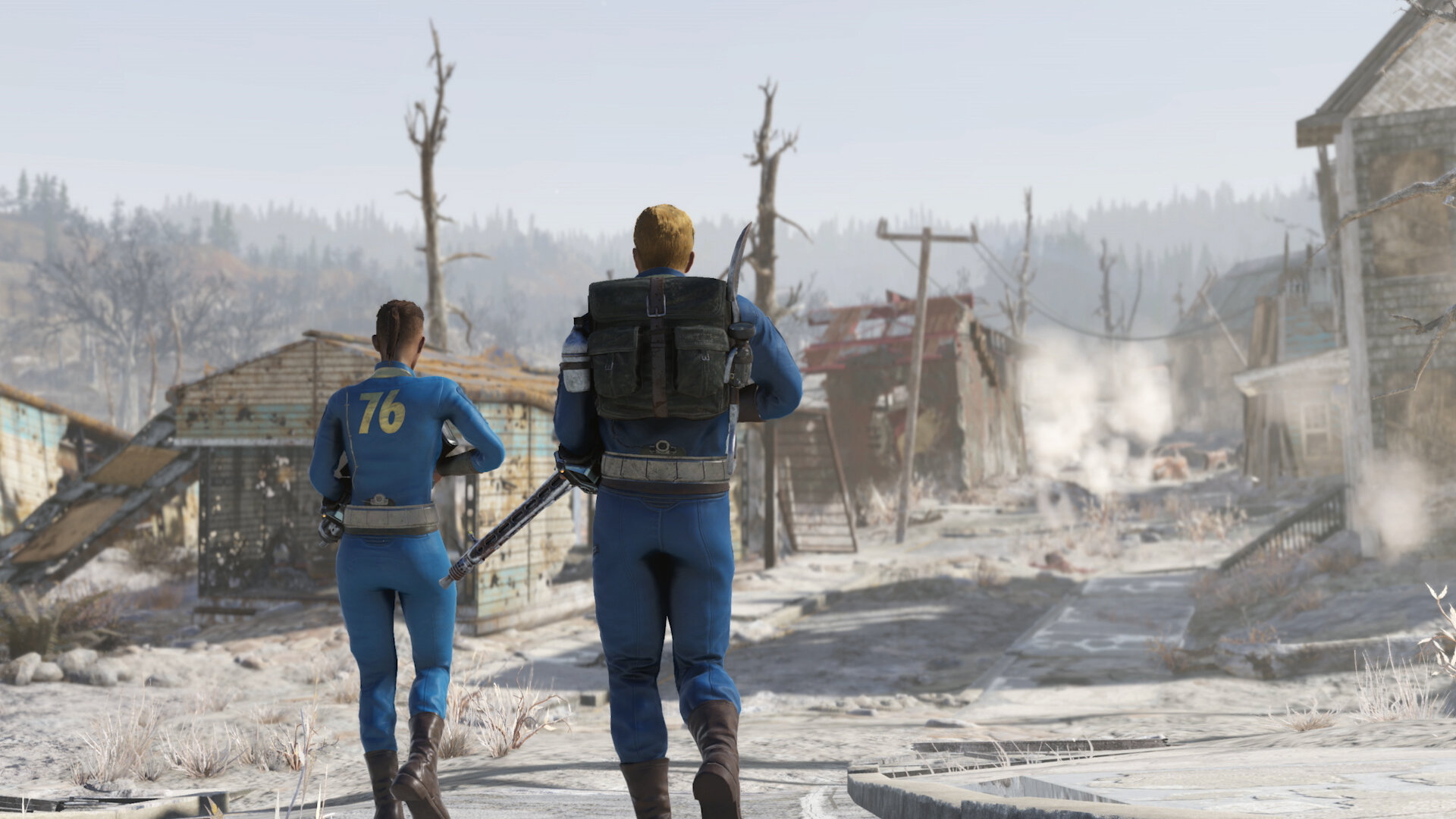 Gra PS4 Fallout 76: Wastelanders