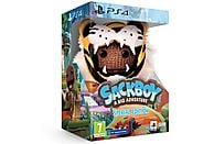 Gra PS4 Sackboy: A Big Adventure Special Edition (Kompatybilna z PS5)
