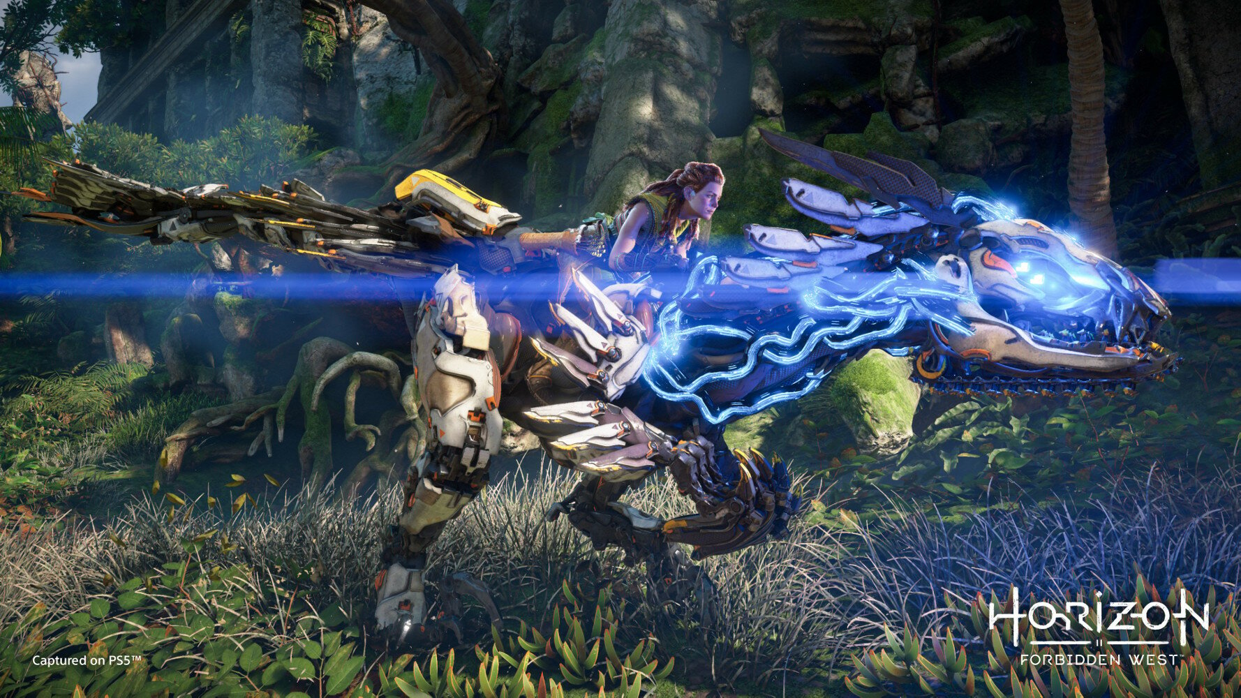 Gra PS5 Horizon Forbidden West Edycja Regalla