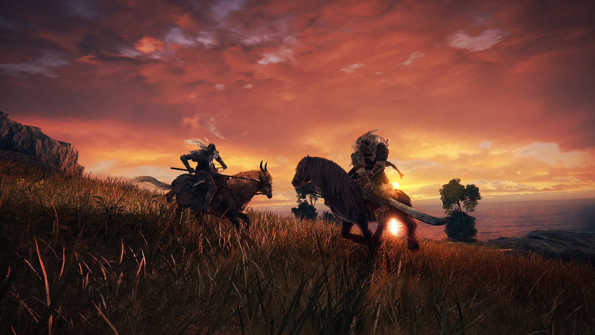 Gra Xbox Series Elden Ring Edycja Kolekcjonerska