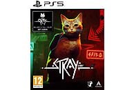 Gra PS5 Stray