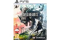 Gra PS5 Wild Hearts