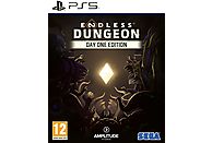 Gra PS5 Endless Dungeon Day One Edition