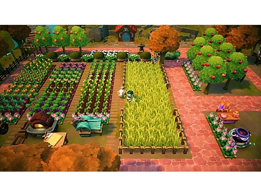 Gra Nintendo Switch Fae Farm