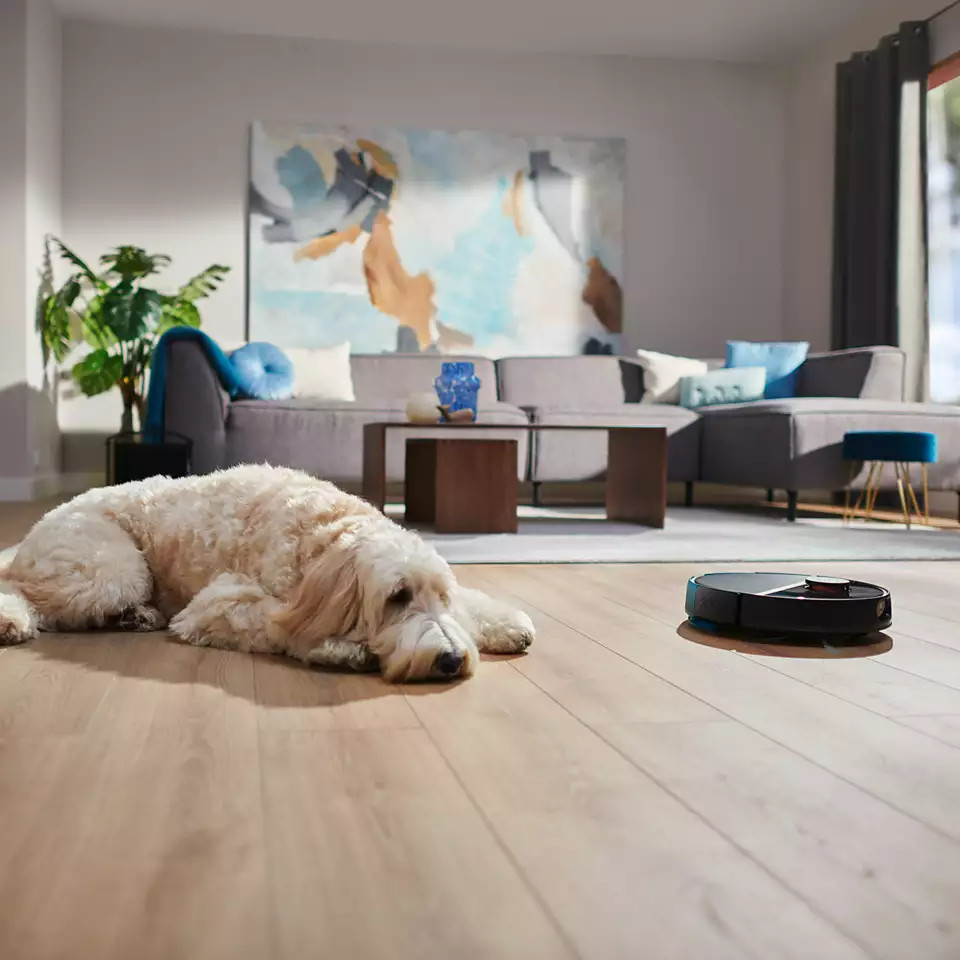 Een hond die op de grond ligt terwijl een robotstofzuiger in de kamer werkt.