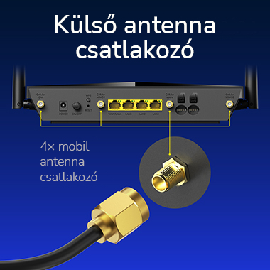 Egy router hátlapja antennacsatlakozókkal és címkékkel.