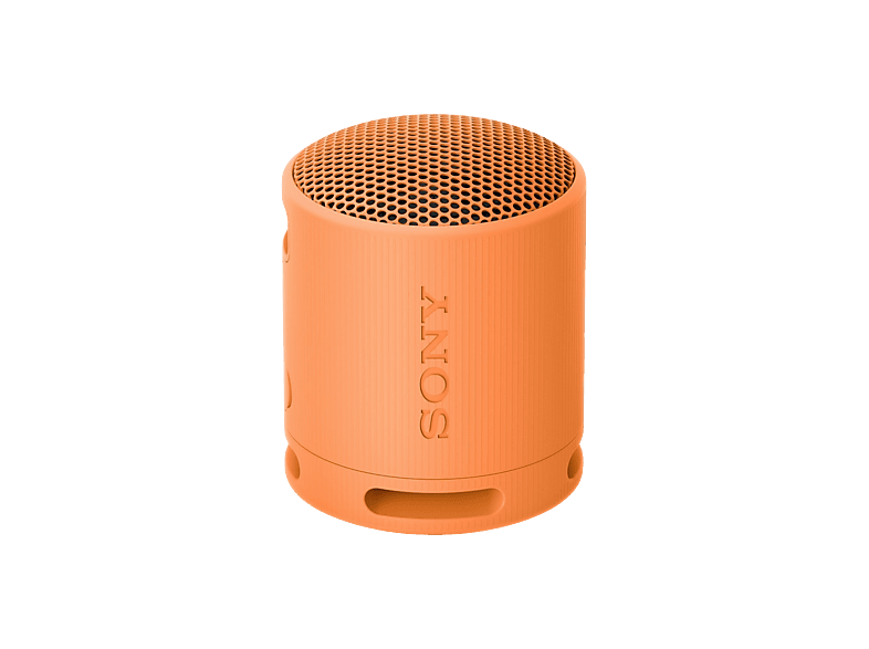 Sony SRS-XB100 Draagbare Draadloze Speaker