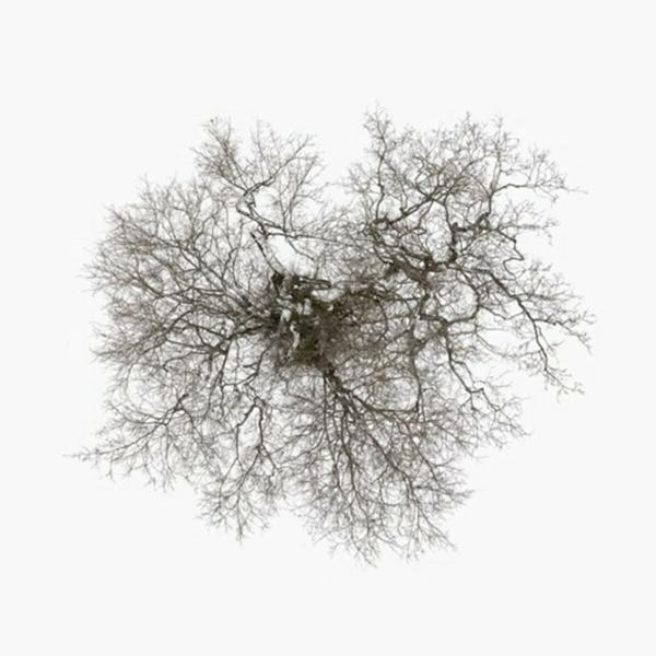 John Metcalfe - Tree - (Vinyl)
