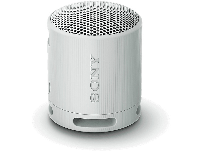 Sony Altavoz Bluetooth SRS-XB100 gris