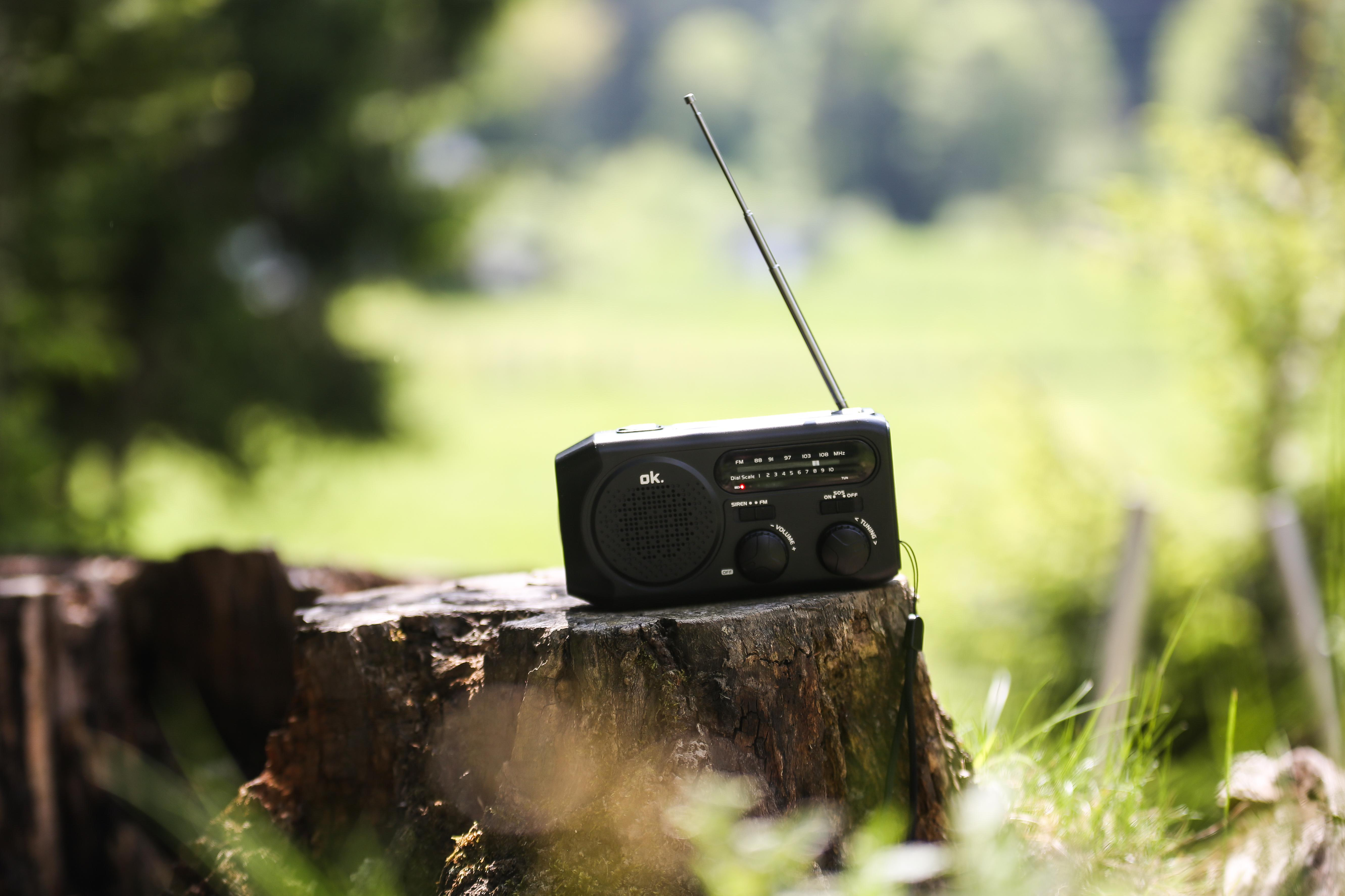 Ein schwarzes Radio mit Antenne auf einem Baumstumpf. Grünes Gras und Bäume im Hintergrund.