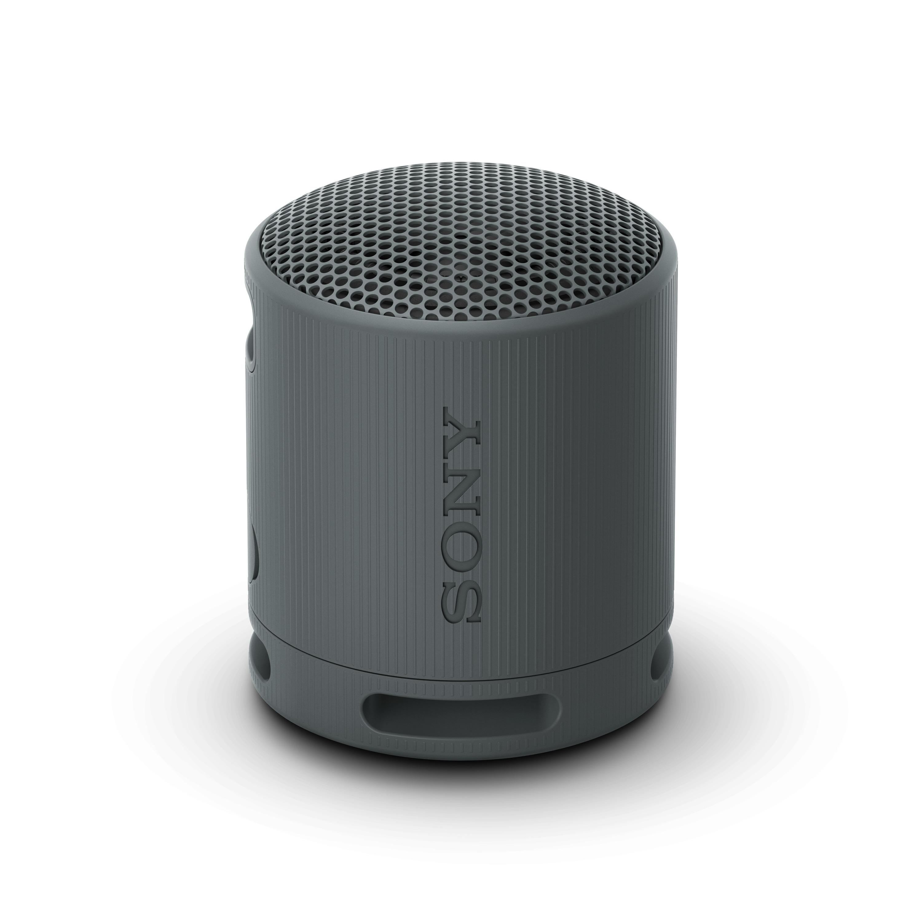 Ein kleiner grauer zylindrischer Lautsprecher mit dem SONY-Logo darauf.
