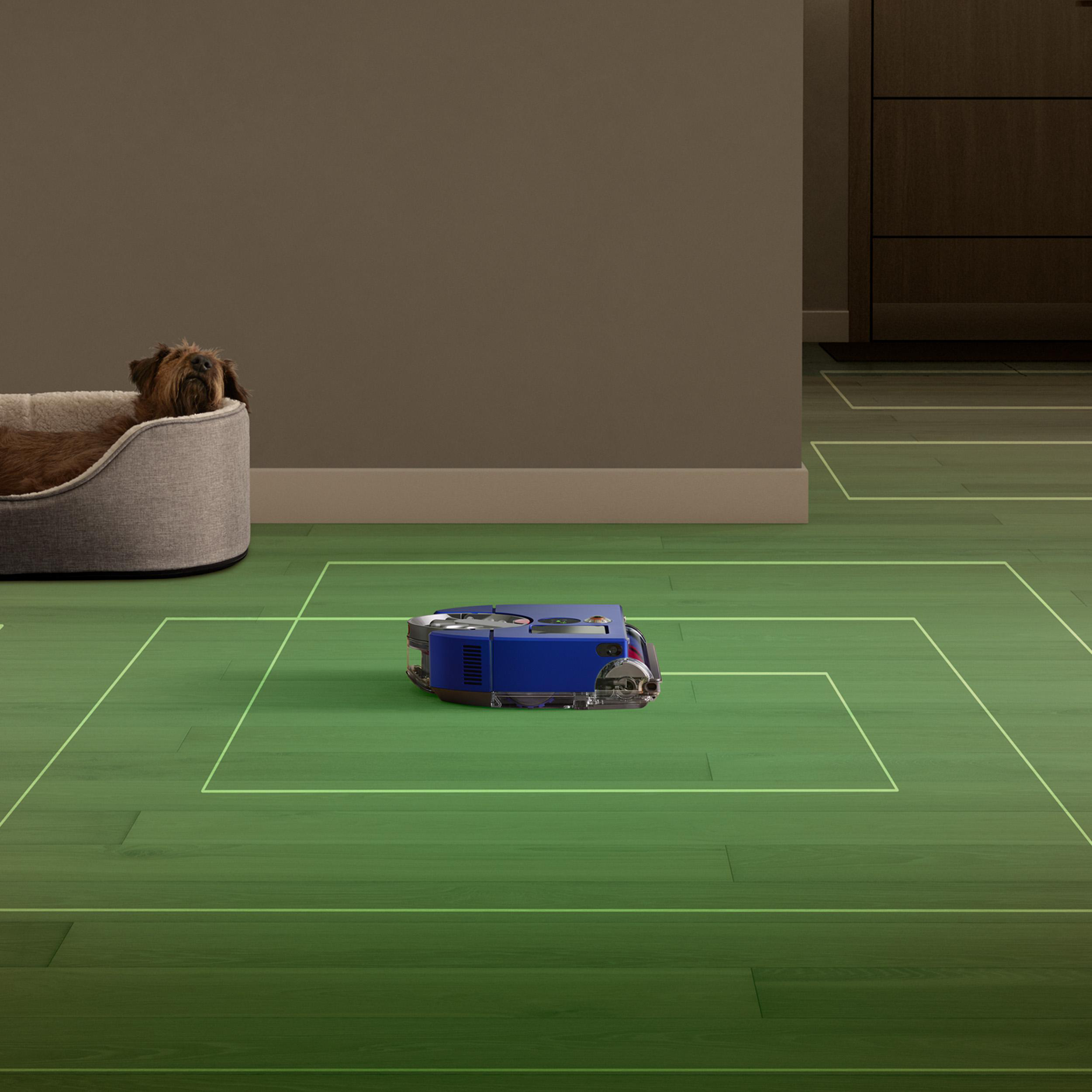 Blauer Roboter-Staubsauger reinigt Holzboden, Hundebett im Hintergrund.