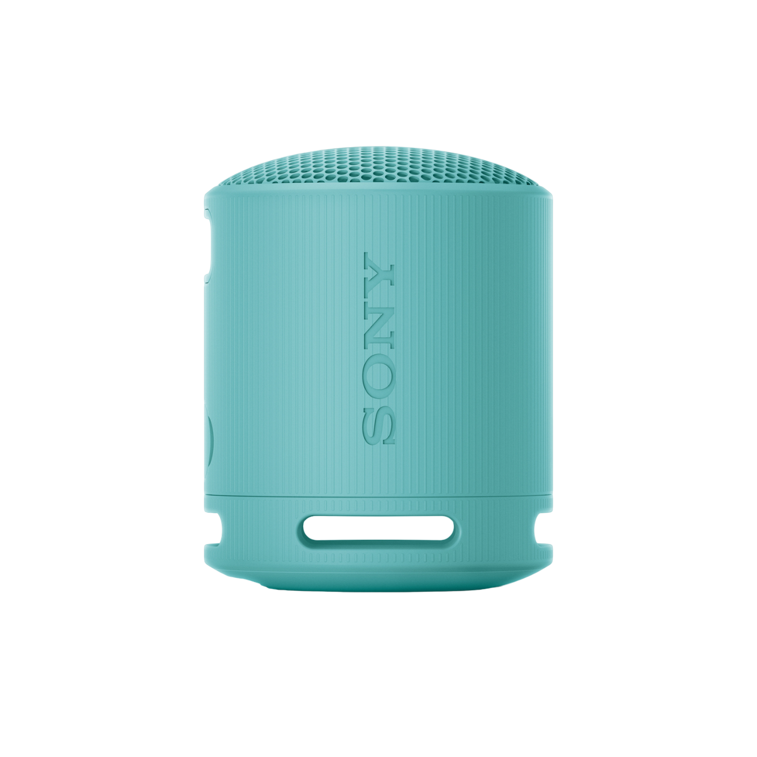 Sony Srs-xb100 Blauw