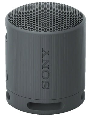 Mały, szary, cylindryczny głośnik przenośny z wytłoczonym na boku napisem „SONY”.