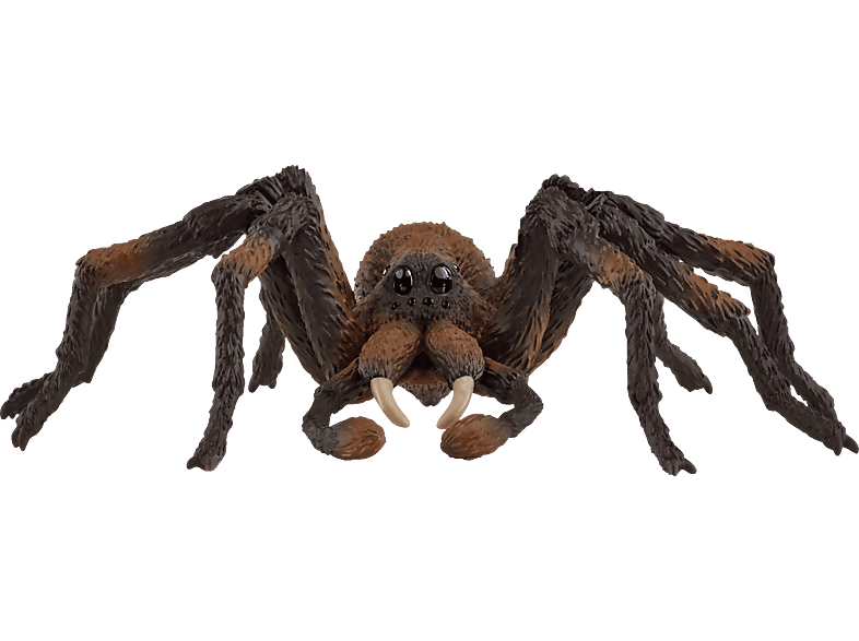 SCHLEICH Aragog Spielfigur Mehrfarbig
