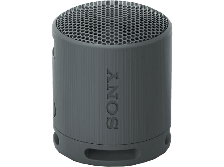 SONY SRS-XB100 Bluetooth-Lautsprecher, Schwarz, Wasserfest