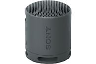 SONY SRS-XB100 - Bluetooth-Lautsprecher (Schwarz)