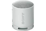 SONY SRS-XB100 - Bluetooth-Lautsprecher (Grau)