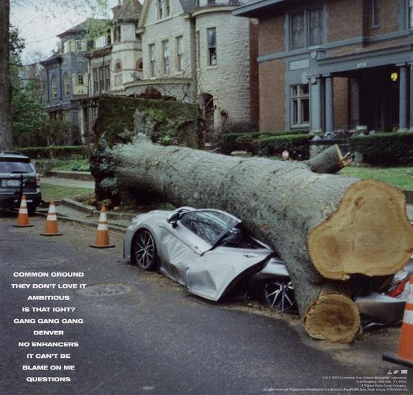 Von einem gefällten Baum zerquetschtes Auto vor Häusern. Das Auto steht auf der Straße.