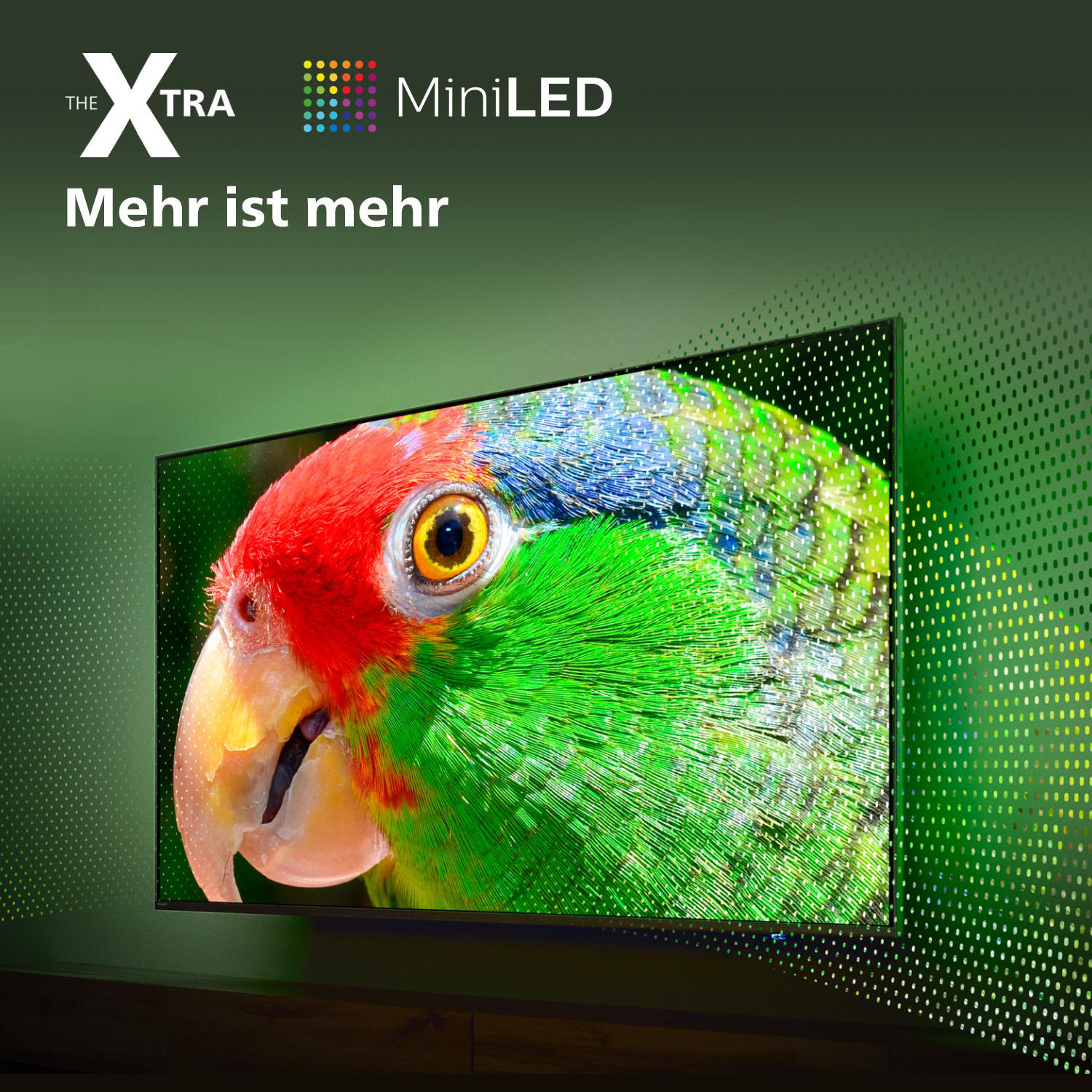 Ein Fernsehbildschirm mit einem Papageienbild und den Worten 'Mehr ist mehr'.