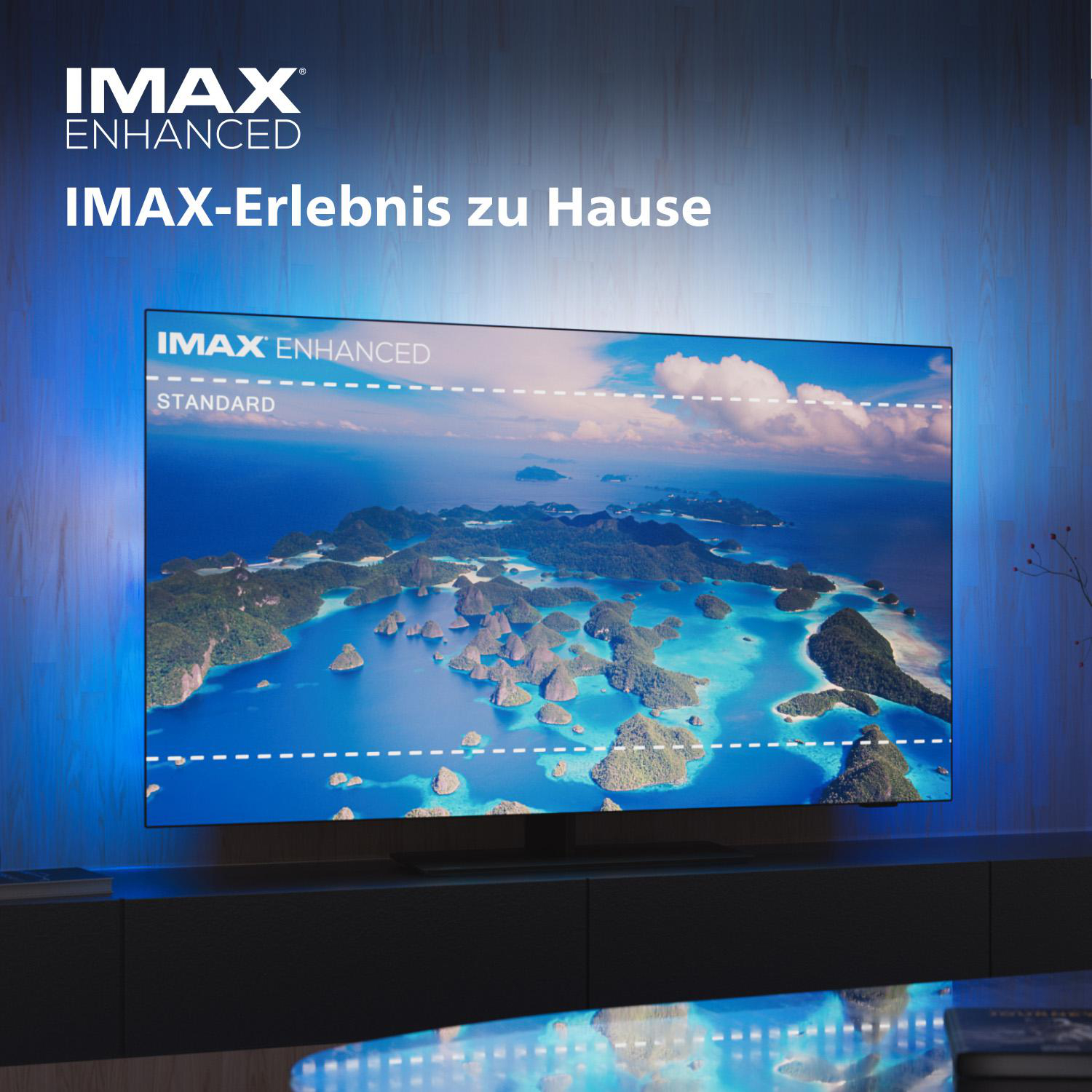 Ein großer Fernsehbildschirm, der eine malerische Landschaft mit dem IMAX-Logo zeigt.