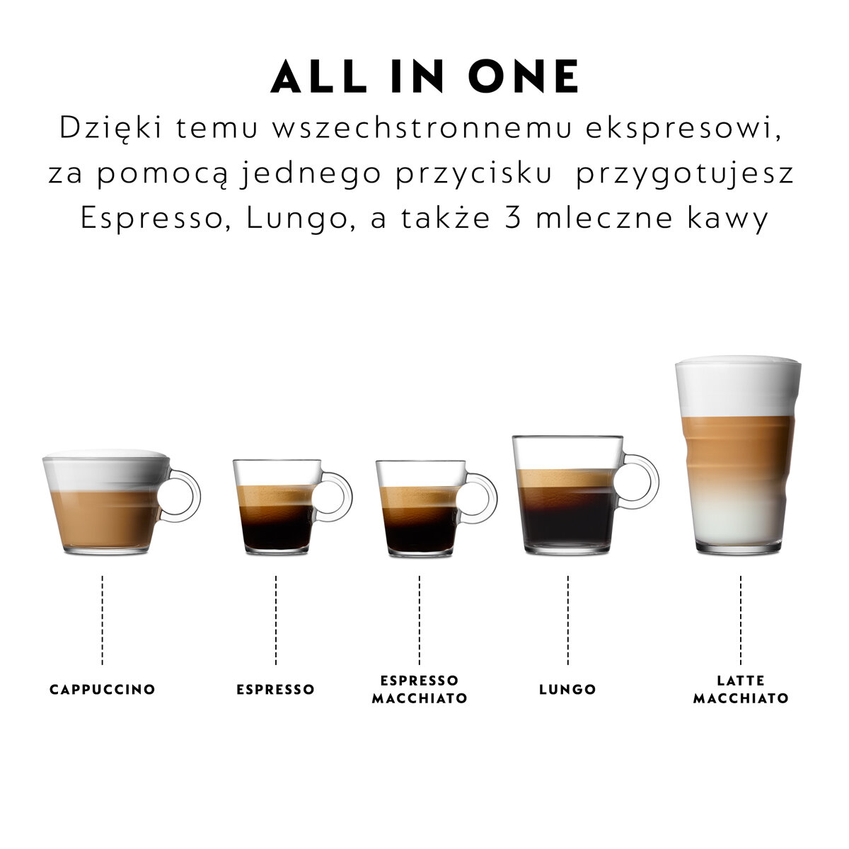 Schemat napojów kawowych: cappuccino, espresso, espresso macchiato, lungo i latte macchiato.