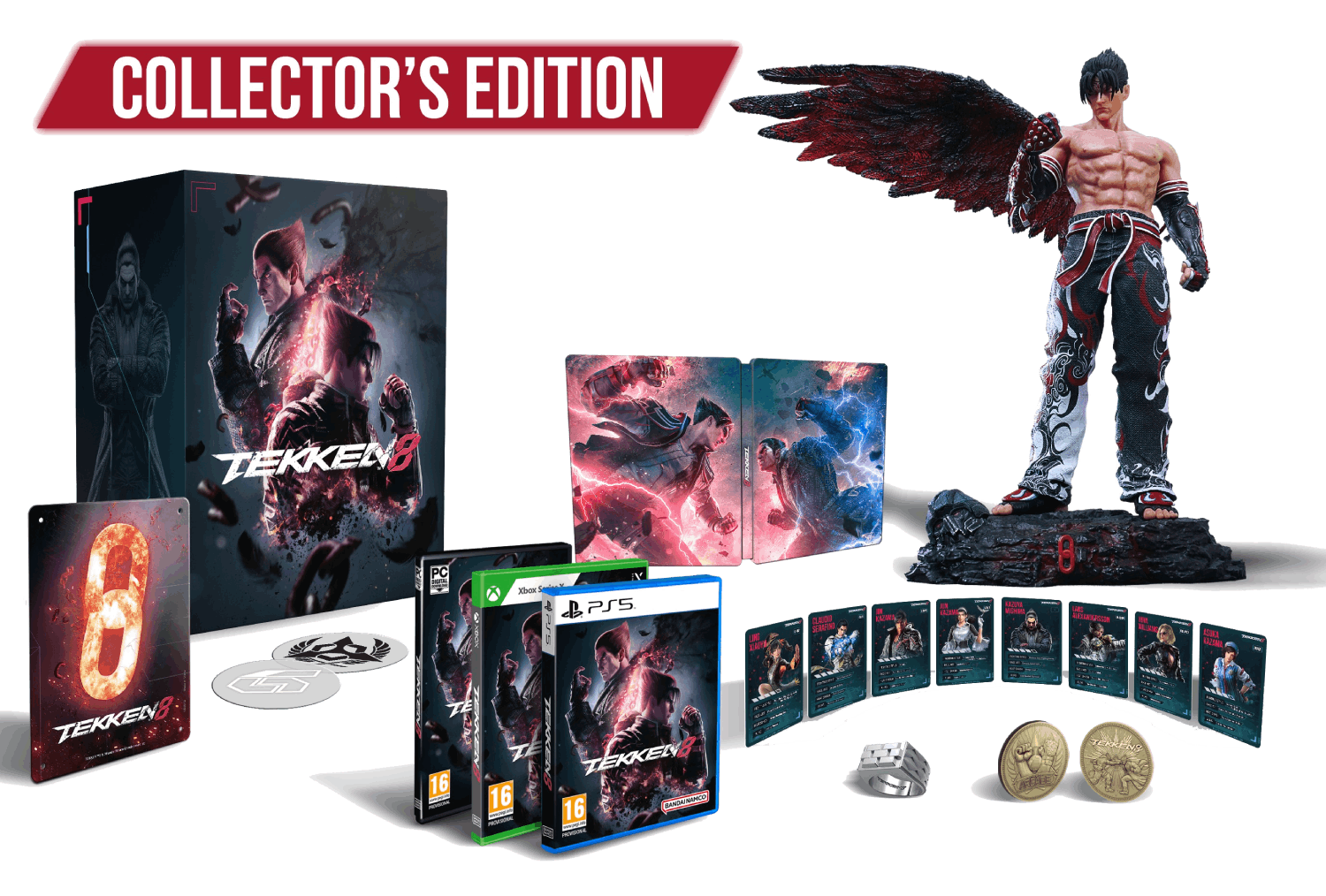 PC Tekken 8 (Collector Edition)