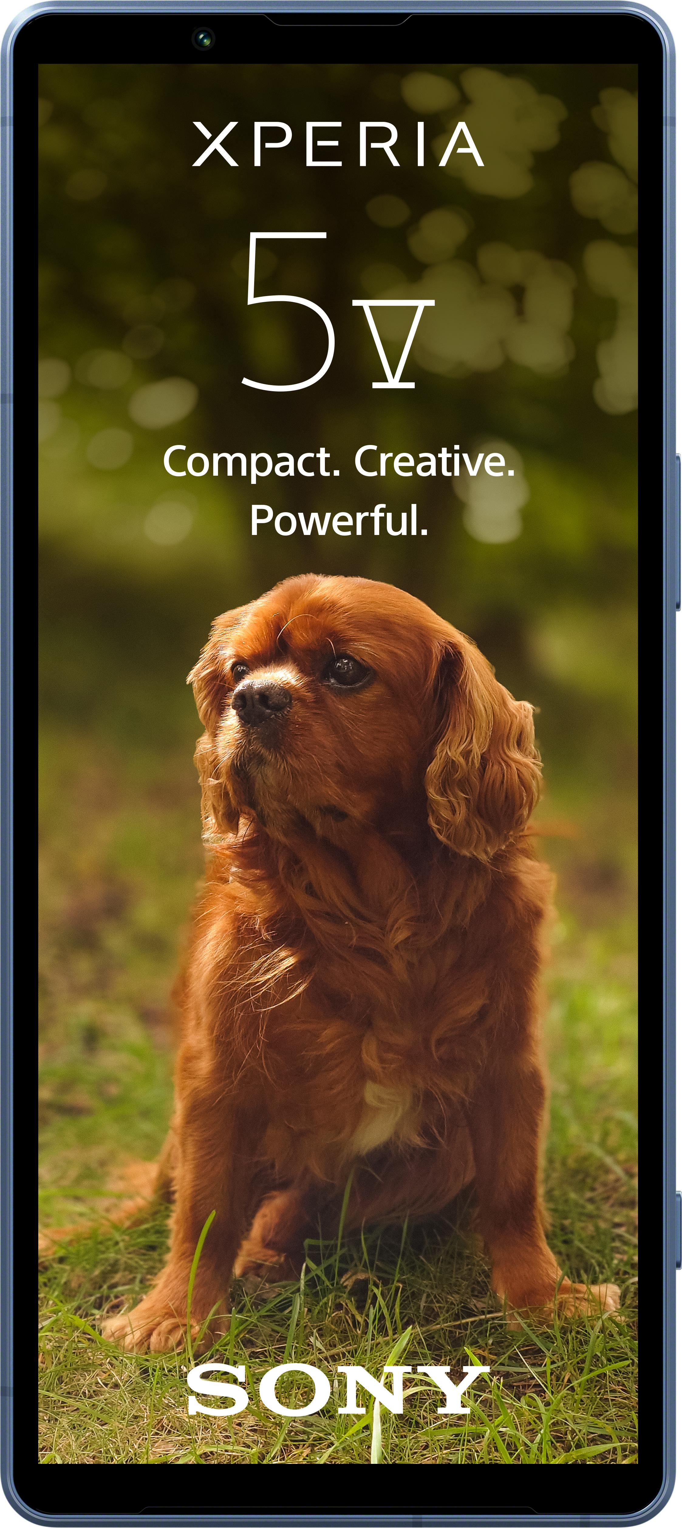 Xperia 5V Telefon mit Hundebild auf dem Bildschirm.