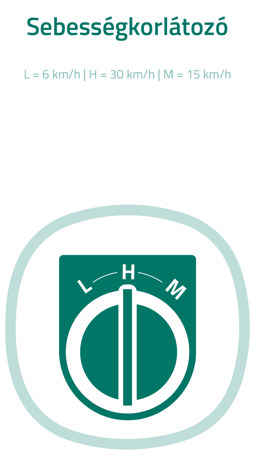 Sebességhatároló szimbólum. L=6km/h, H=30km/h, M=15km/h. Zöld-fehér.