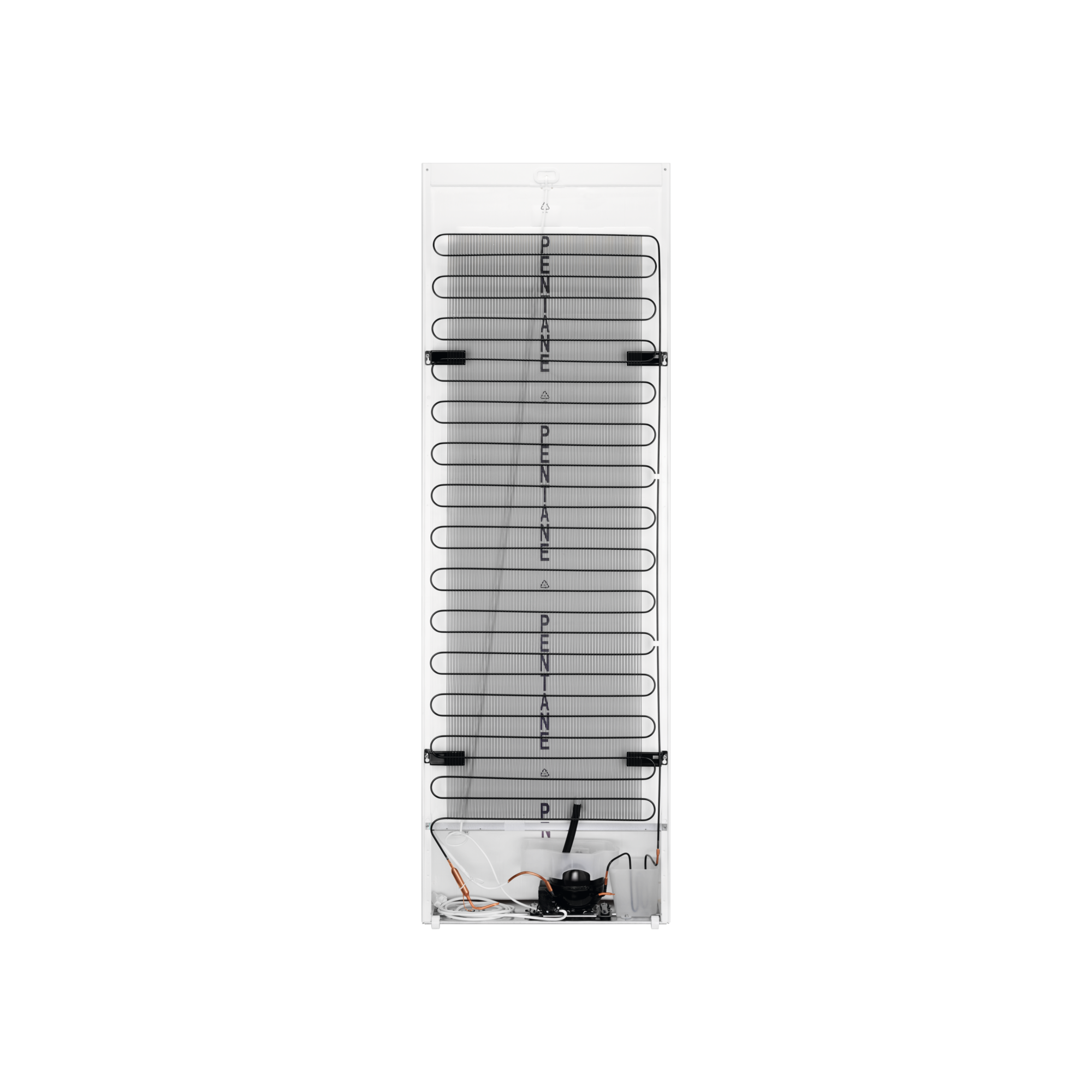 AEG Frigo armoire E (RKB539E1DX)